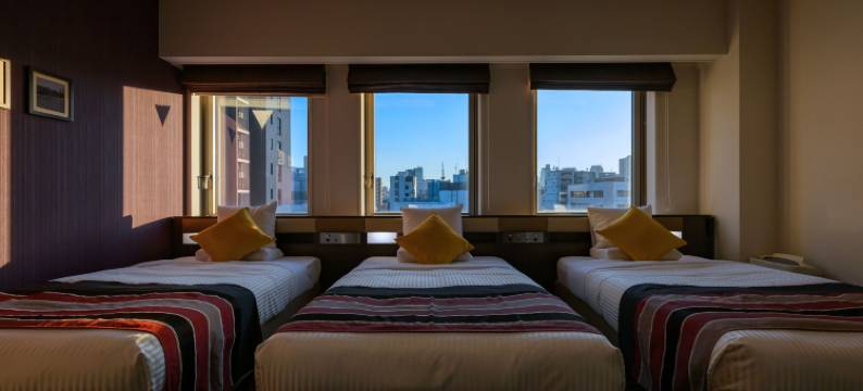 MYSTAYS 上野东酒店(HOTEL MYSTAYS Ueno East)图片