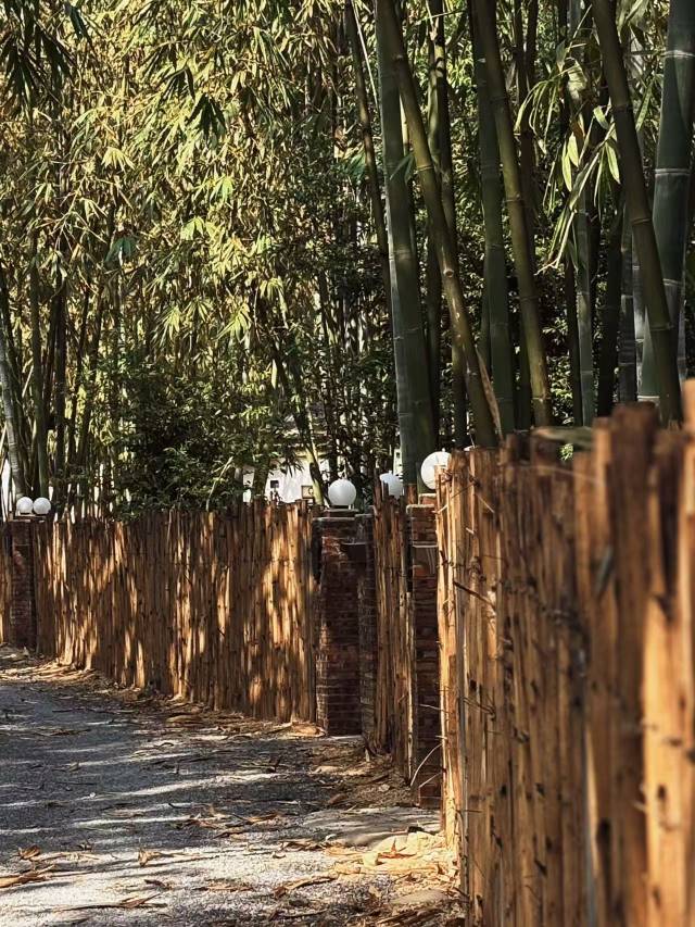 英德竹林奇境野奢度假民宿(英西峰林走廊店)图片