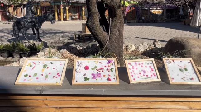 丽江王府饭店图片