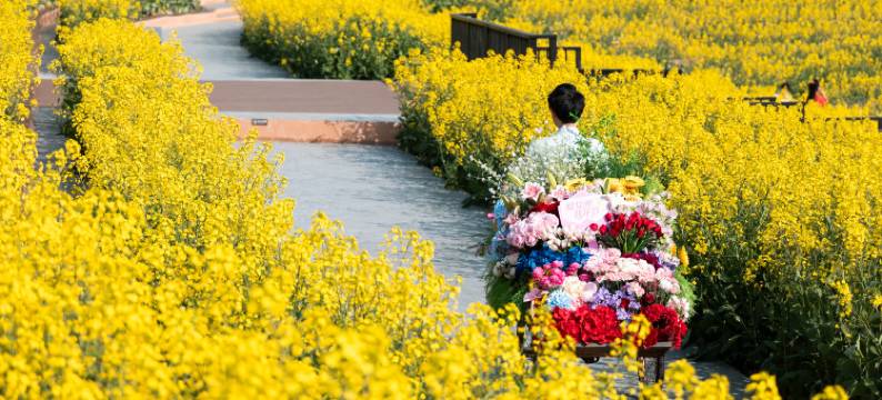 婺女洲度假区徽市街艺术酒店图片