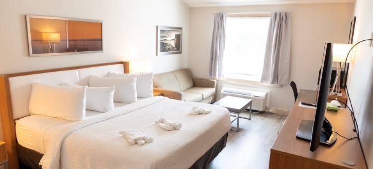 艾瑞斯科德角酒店(Iris Hotel Cape Cod)图片