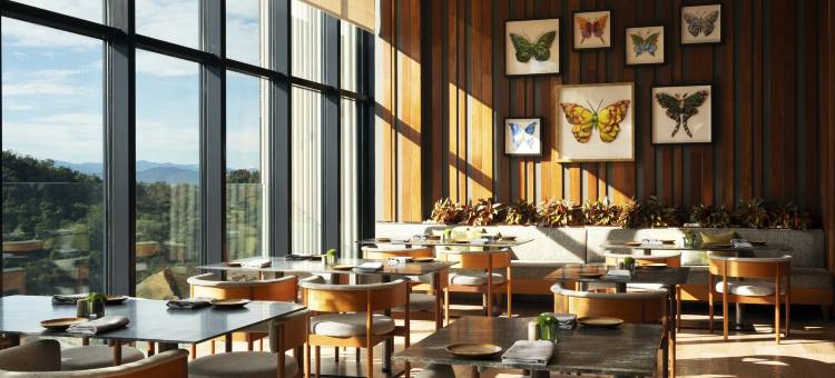 哥打京那巴鲁凯悦尚萃酒店(Hyatt Centric Kota Kinabalu)图片