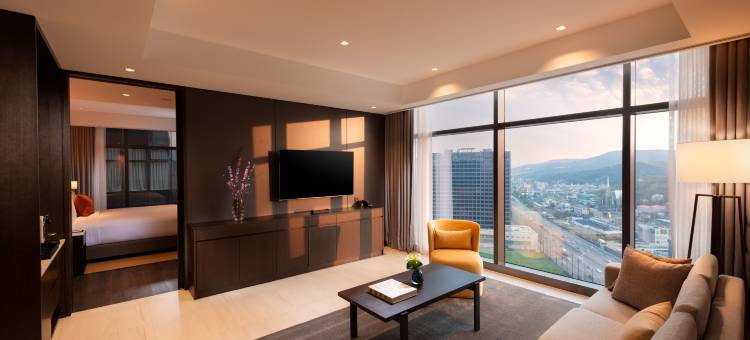 首尔板桥希尔顿逸林酒店(DoubleTree by Hilton Seoul Pangyo)图片