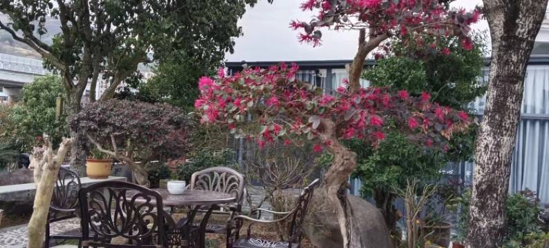 新昌书雅民宿图片