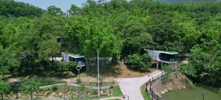 竹林源野嗨轻野营地图片