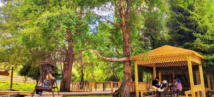 琼库什台龙云古道民宿图片