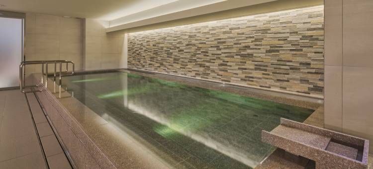 大阪梅田-维拉芳泉大酒店(Villa Fontaine Grand Osaka Umeda)图片