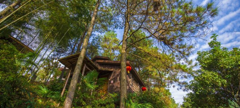 宁国恩龙世界木屋村图片