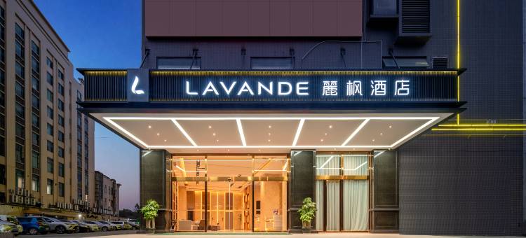 麗枫酒店(佛山丹灶店)图片