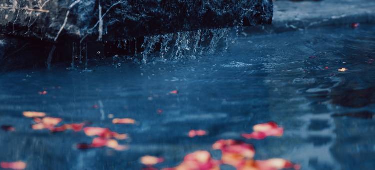 蓝城桃花源温泉合院图片