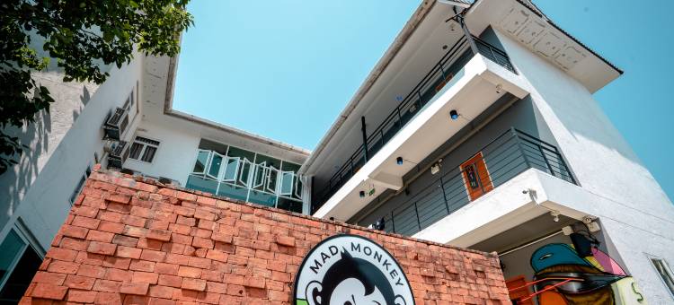 清迈狂猴(Mad Monkey Chiang Mai)图片