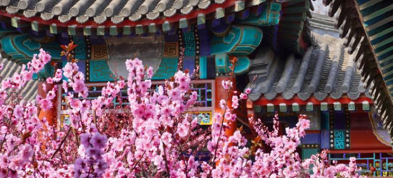 北京首农香山会议中心图片