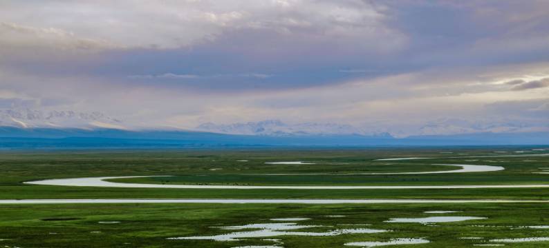 博雅丽景酒店(巴音布鲁克店)图片