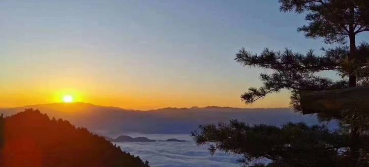 镇巴德林商旅酒店图片