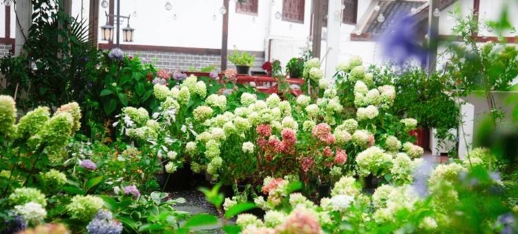 木玖居亲子园林咖啡莫奈花园HolidayVilla度假美宿(青岩古镇店)图片