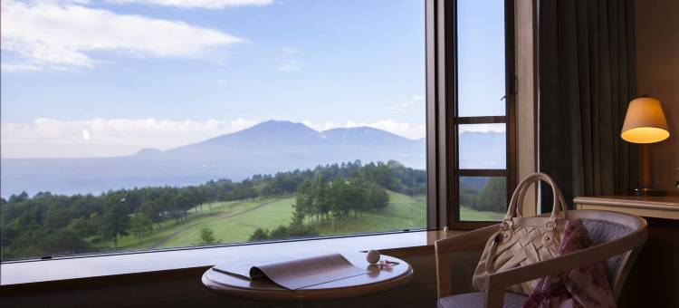 嬬恋王子酒店(Tsumagoi Prince Hotel)图片