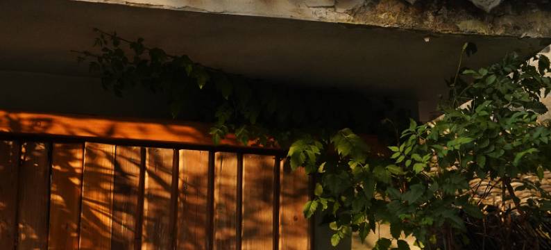 西递西福禄民宿图片