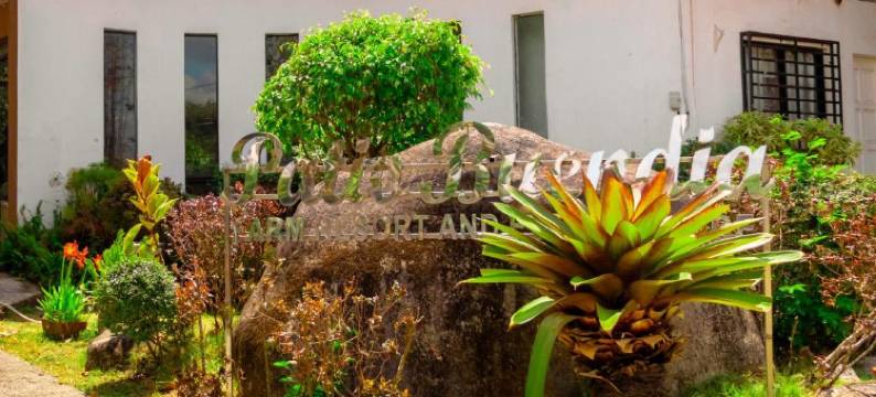 OYO1005 Patio Buendia农场度假村(OYO1005 Patio Buendia Farm Resort)图片