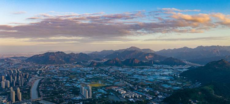 想象假日酒店(苍南高铁站店)图片