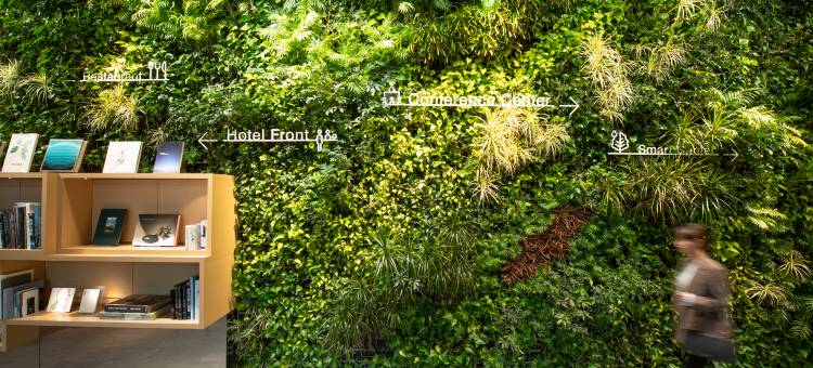 三井花园酒店柏之叶-千叶(Mitsui Garden Hotel Kashiwa-No-Ha / Chiba)图片