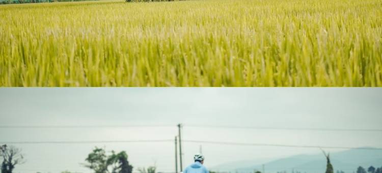 观芦艺术民宿(花都文旅城)图片