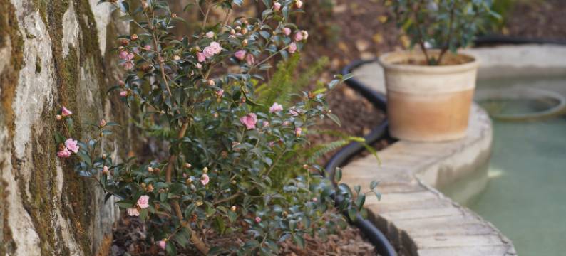 喜峪山舍(三宝国际陶艺村店)图片