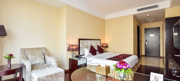 明星机场酒店(Dara Airport Hotel)图片
