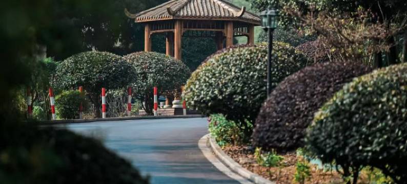 飞天花园酒店图片