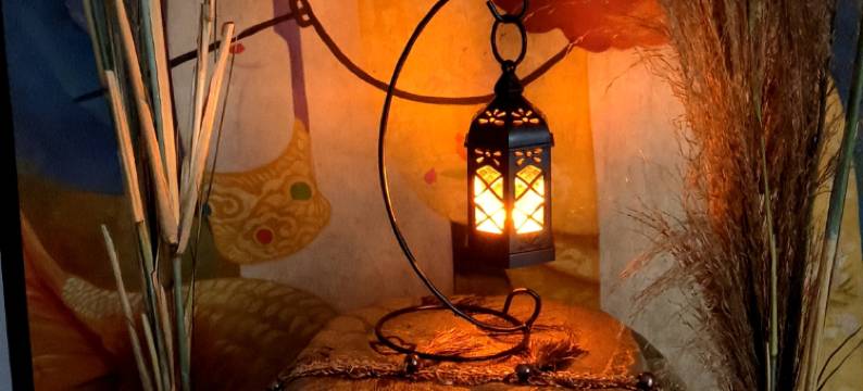 背包客青年旅舍(北湖公园店)图片