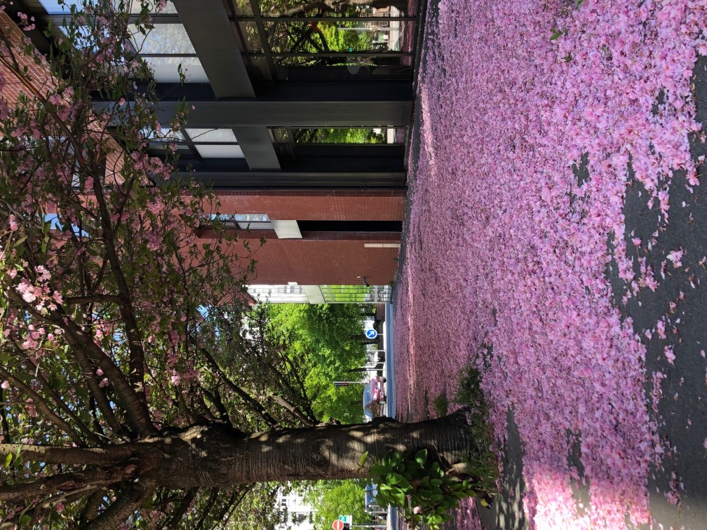 Ibis Lille Centre Grand PalaisOver view