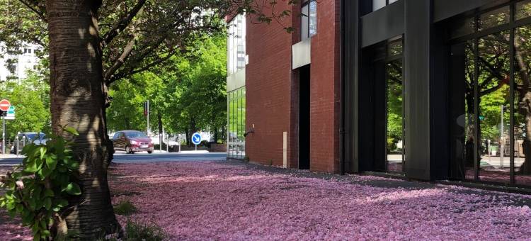 宜必思里尔中心大广场酒店(2015 年 3 月开业)(Ibis Lille Centre Grand Palais)图片