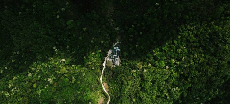 青城山栗下安隐.森林私汤民宿图片
