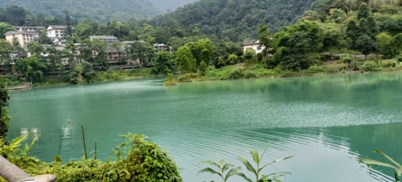 峨眉山翠竹山庄(清音阁景区店)图片