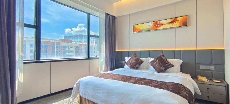 深圳坪山高铁站乐安居国际酒店(锦龙地铁站店)图片