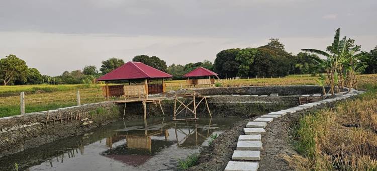 Sakahan Farm图片