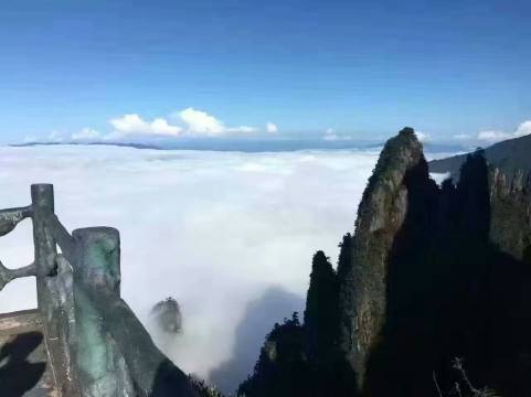 莽山森林温泉酒店图片