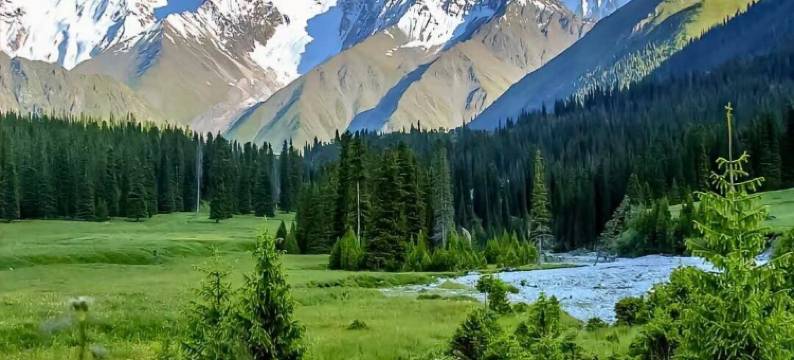 布尔津月见居民宿(冲乎尔镇店)图片