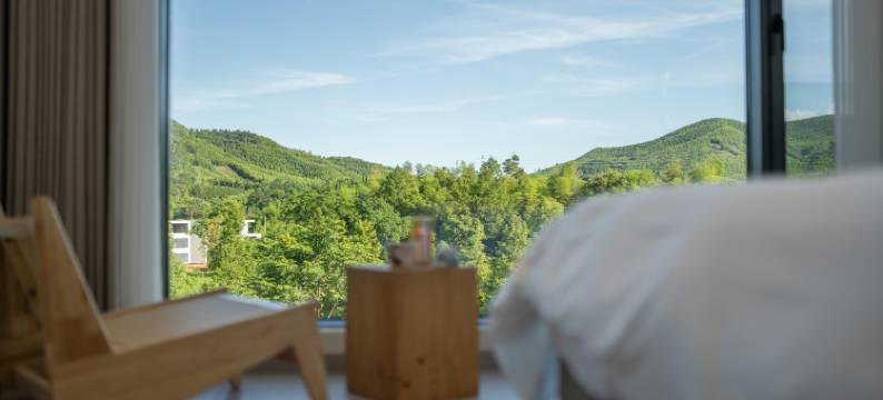 云漫里·28HOW亲子度假设计师美墅(安吉浮云谷景区店)图片