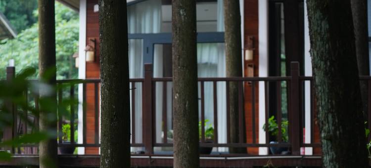 源山雅院·森林静逸民宿(雅安上里店)图片