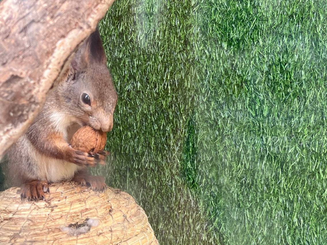 昭苏县望湖庄园度假区图片