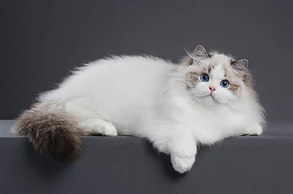 容鑫别院·Family极简轻奢私墅(忻州古城店)图片