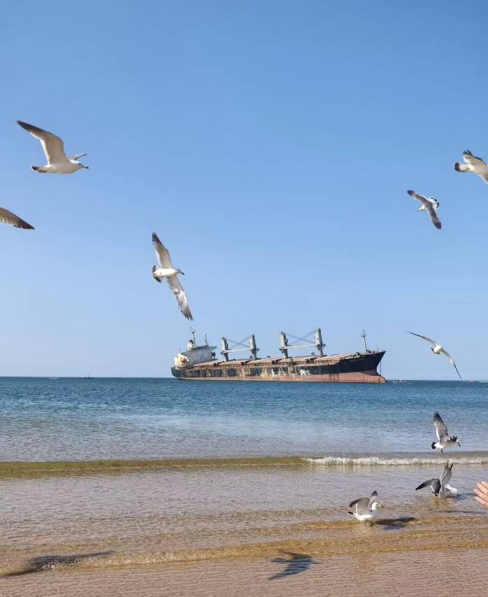 韦尔曼花园酒店(威海国际海水浴场火炬八街店)图片