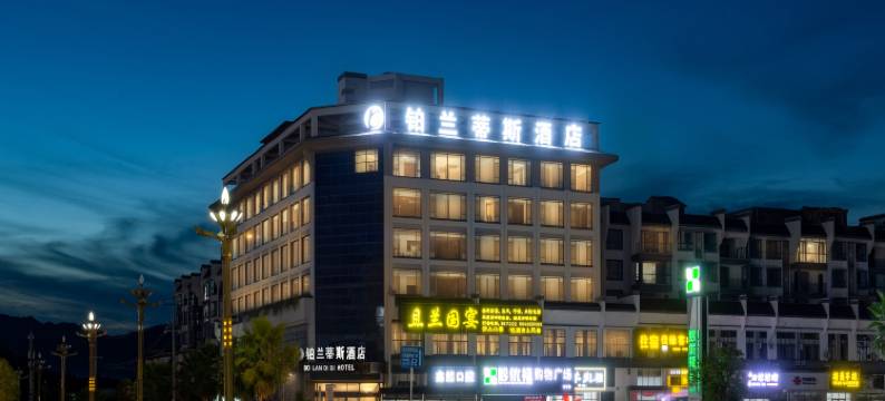 铂兰蒂斯酒店图片