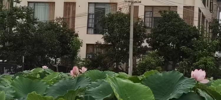 抚仙湖木云客栈图片