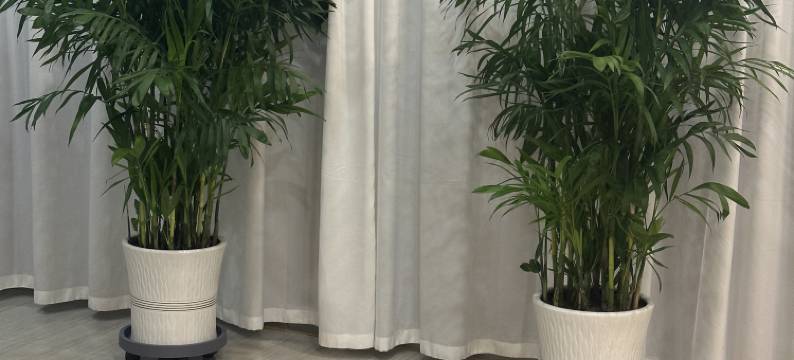 山阴万客来酒店图片