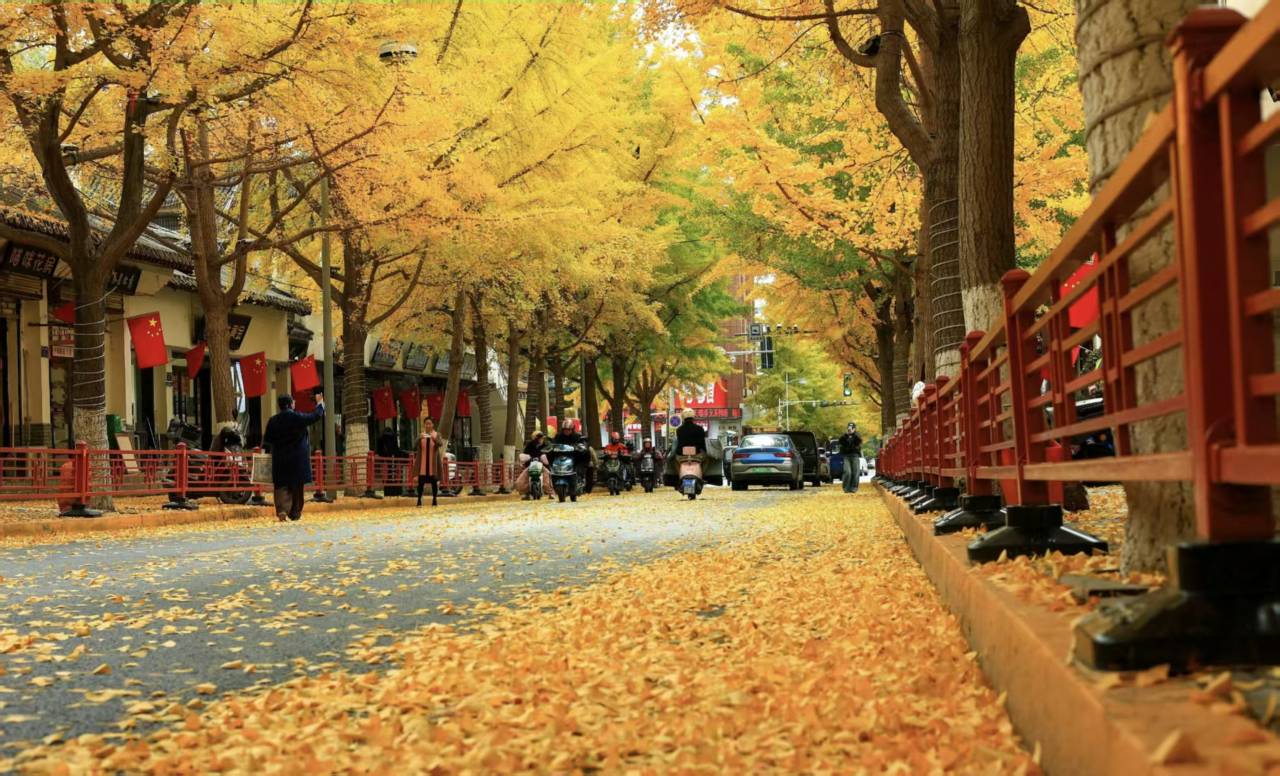 柏霖艾菲酒店(天水市政府中心广场店)图片