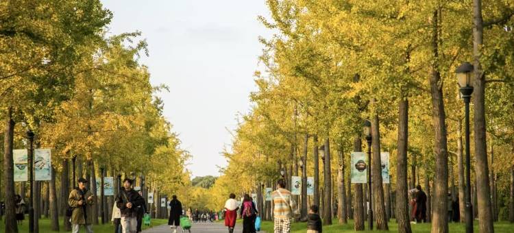 瘦西湖宋城度假酒店图片