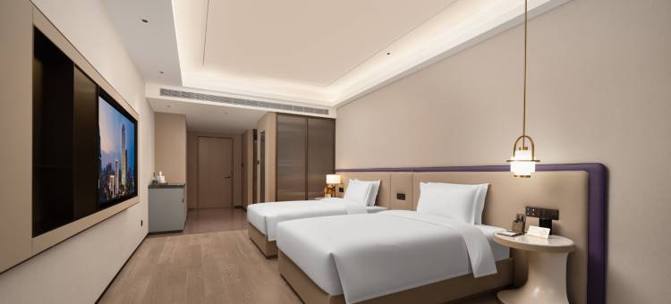 西安金陵紫金山酒店(西安城墙洒金桥美食街店)图片