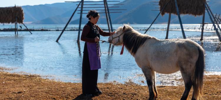香格里拉檐外·无界之野|THE HORIZON图片