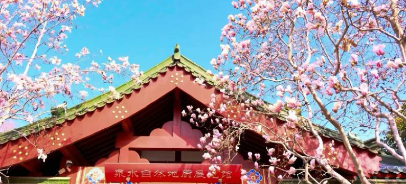 济南璞秀酒店(济南火车站齐鲁儿童医院店)图片